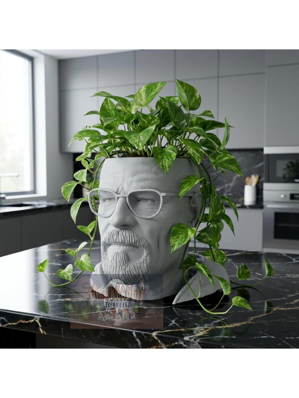 Breaking Bad Indoor Planter - Walter White Garden Gift - Home Office Decor
